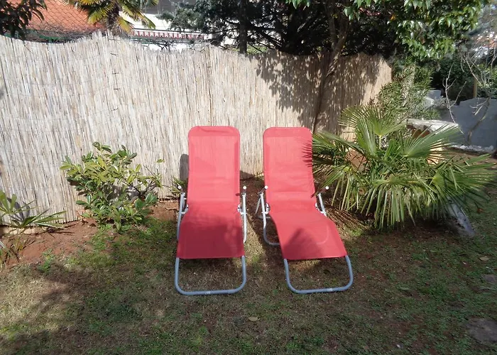 Kavan * 바르바리가